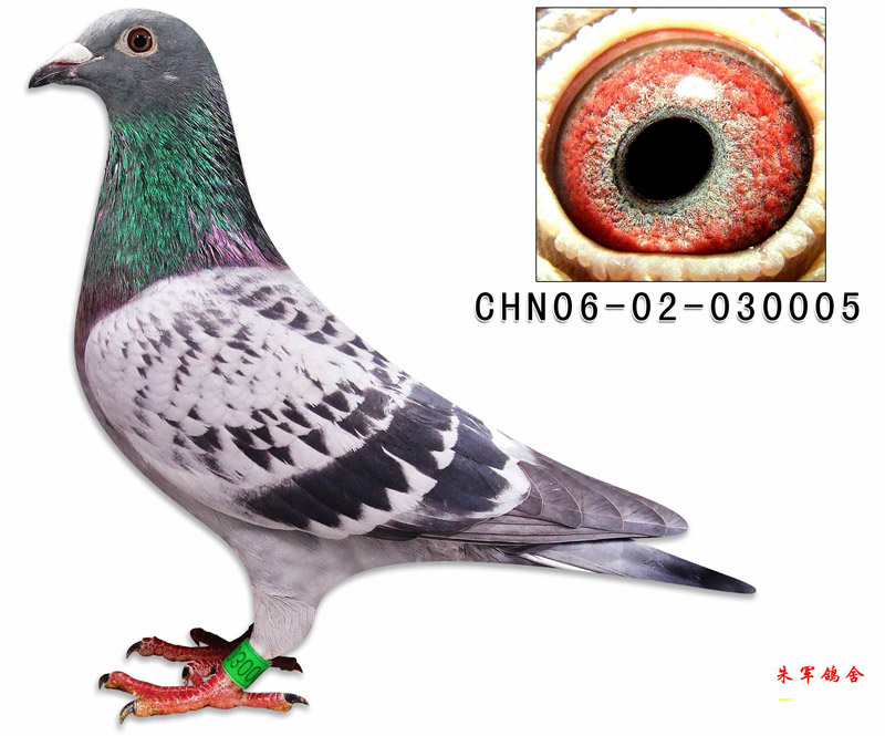 国家一号孙女005